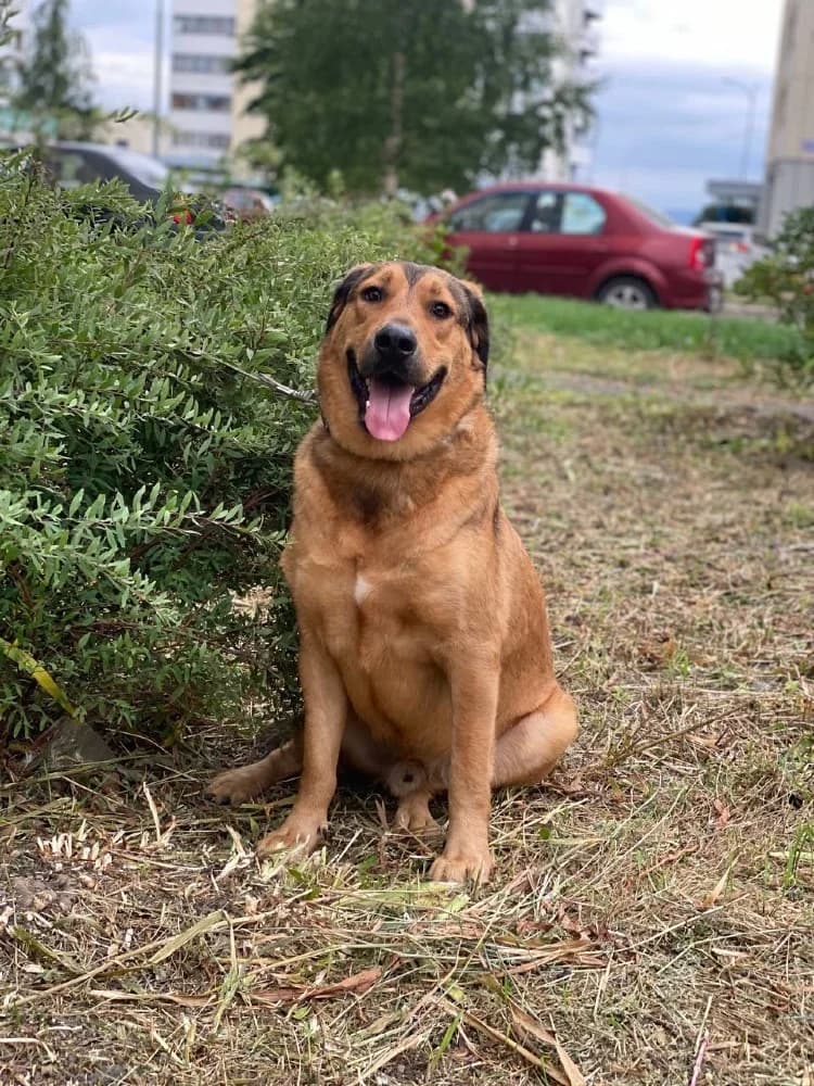 Lowie is een schatje photo 2