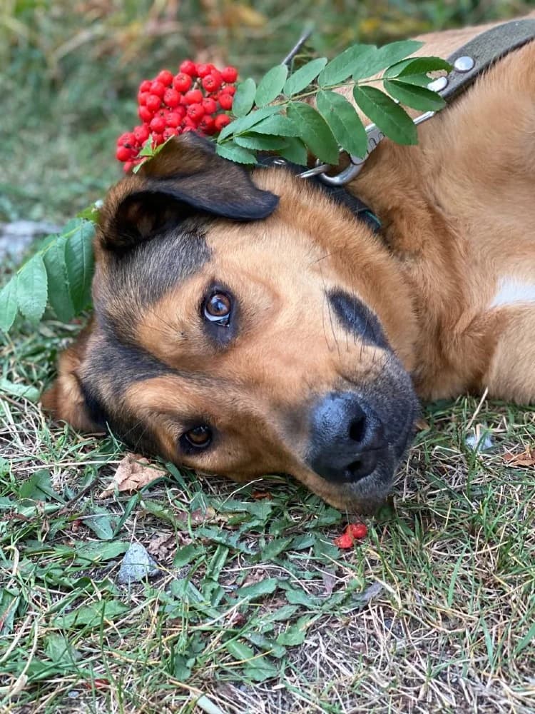 Lowie is een schatje photo 3