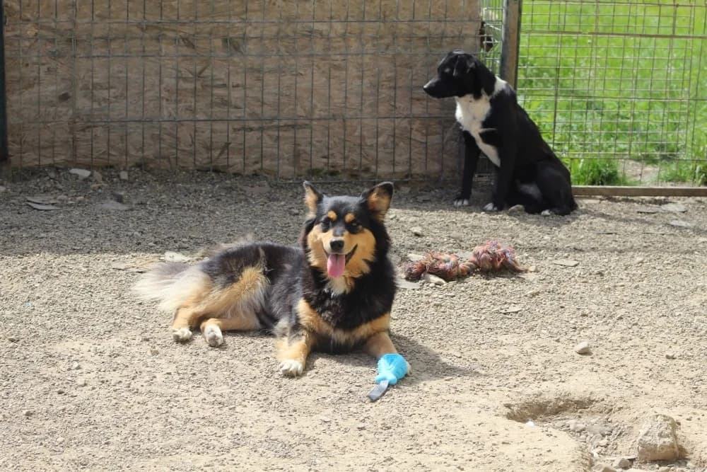 ❤️Luluta❤️ photo 5