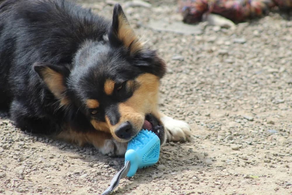 ❤️Luluta❤️ photo 3