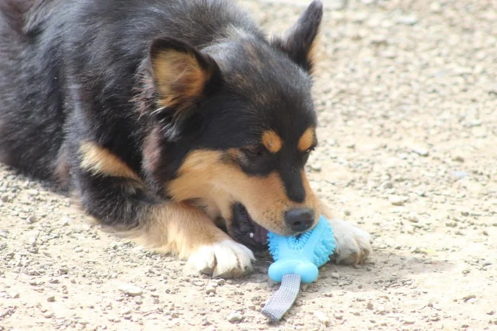 ❤️Luluta❤️ photo 4