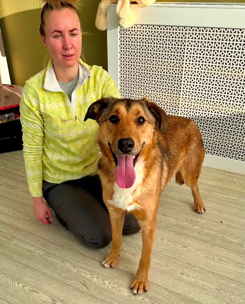 Lychee – jouw zonneschijn photo 2