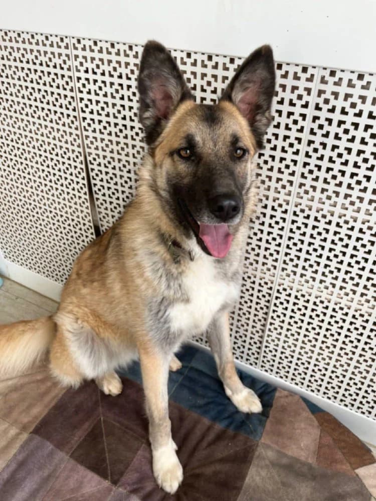 Melissa lief en mooi! photo 7