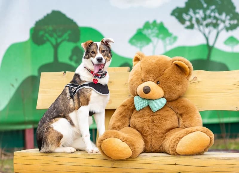 Mokka fee en kindervriend photo 6