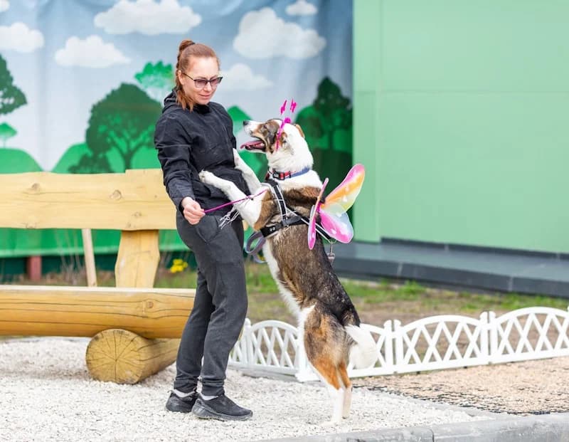 Mokka fee en kindervriend photo 7