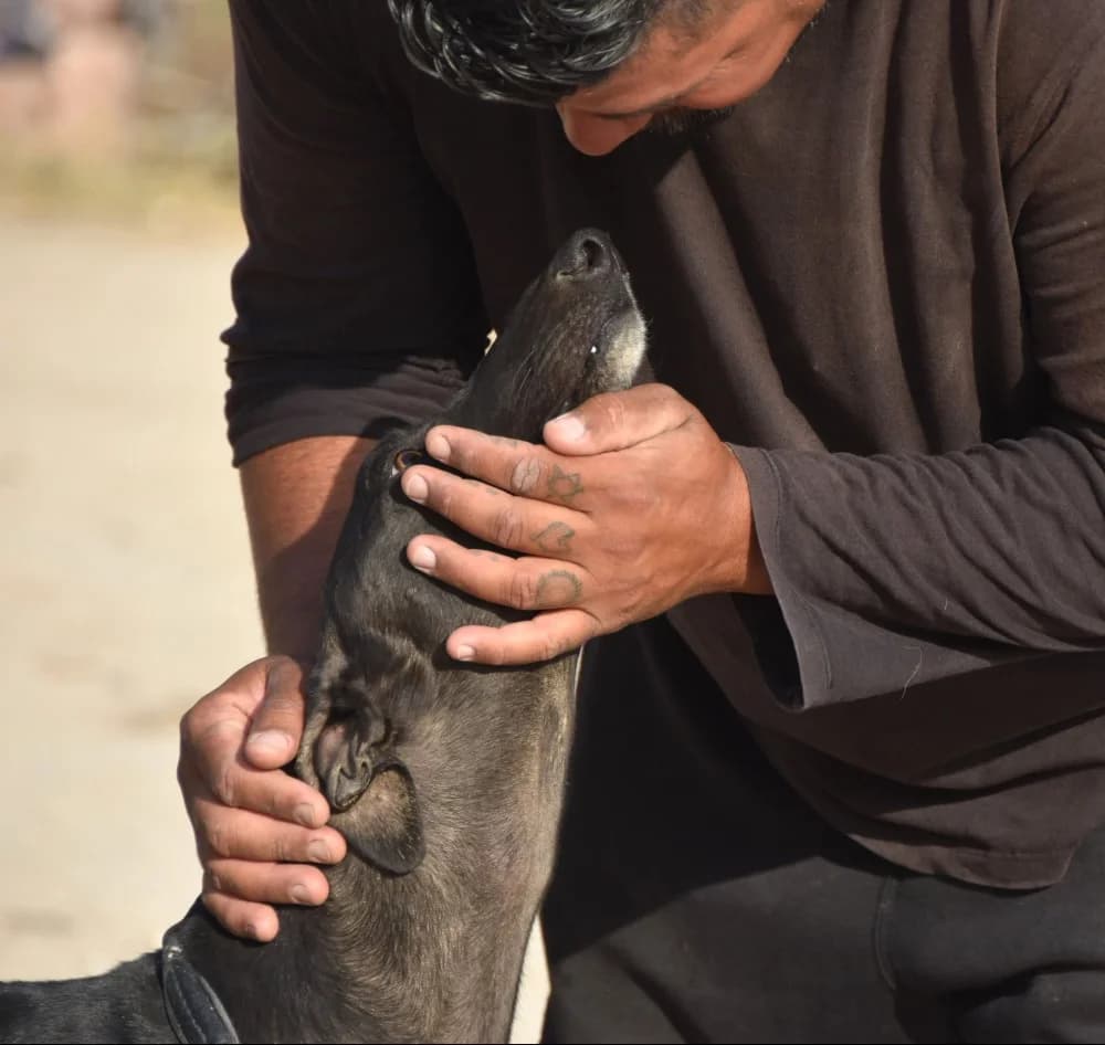 Nano de Barcience DC photo 6