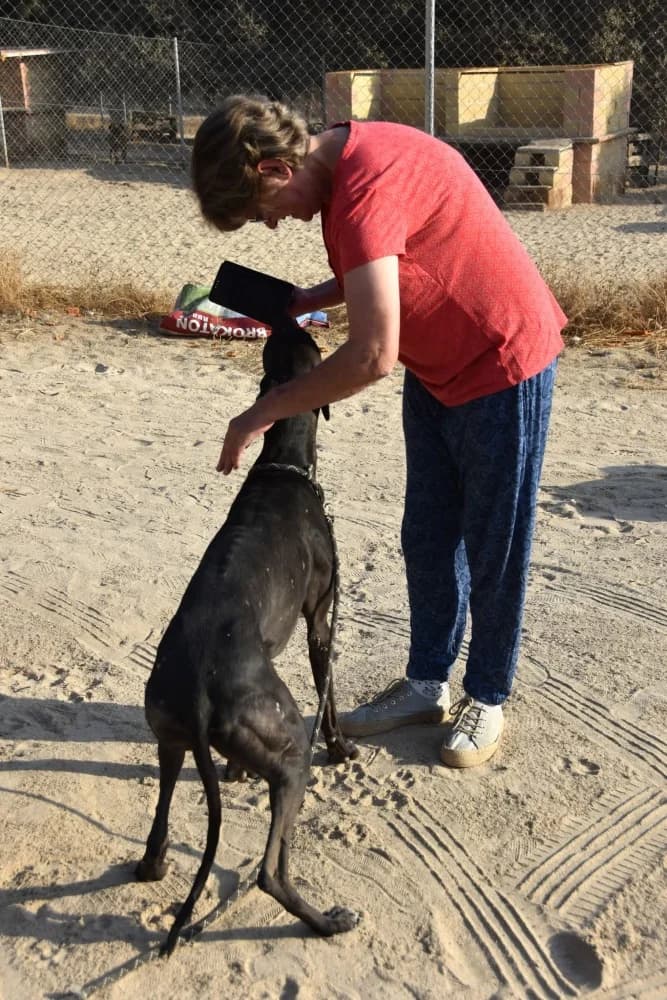 Nano de Barcience DC photo 7