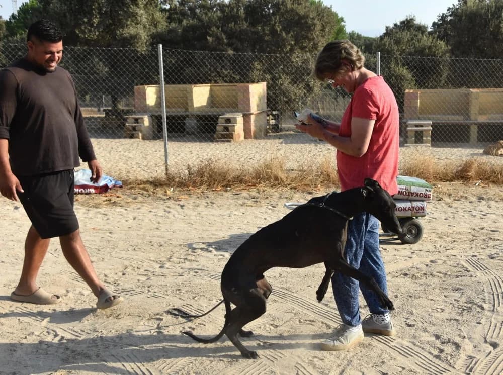 Nano de Barcience DC photo 8