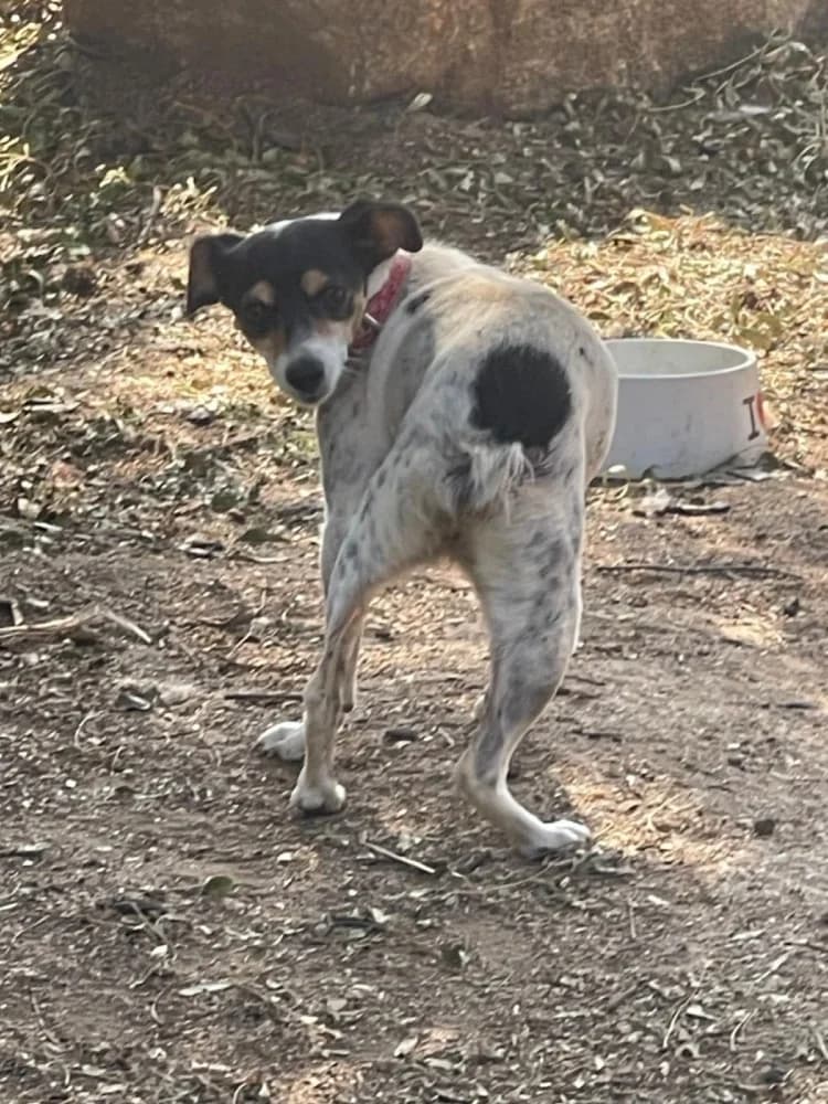 Olga BR, handicap photo 3