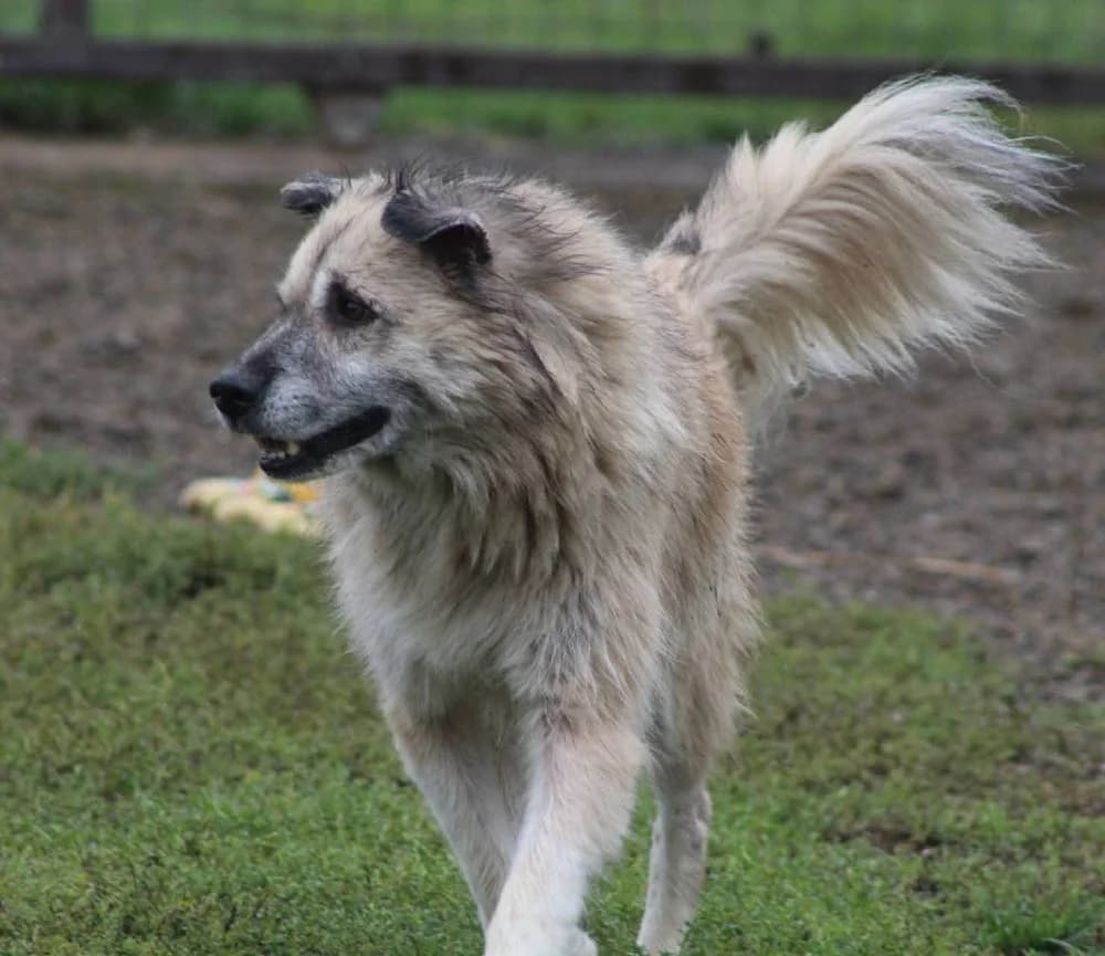 ❤️Peggy❤️ photo 6