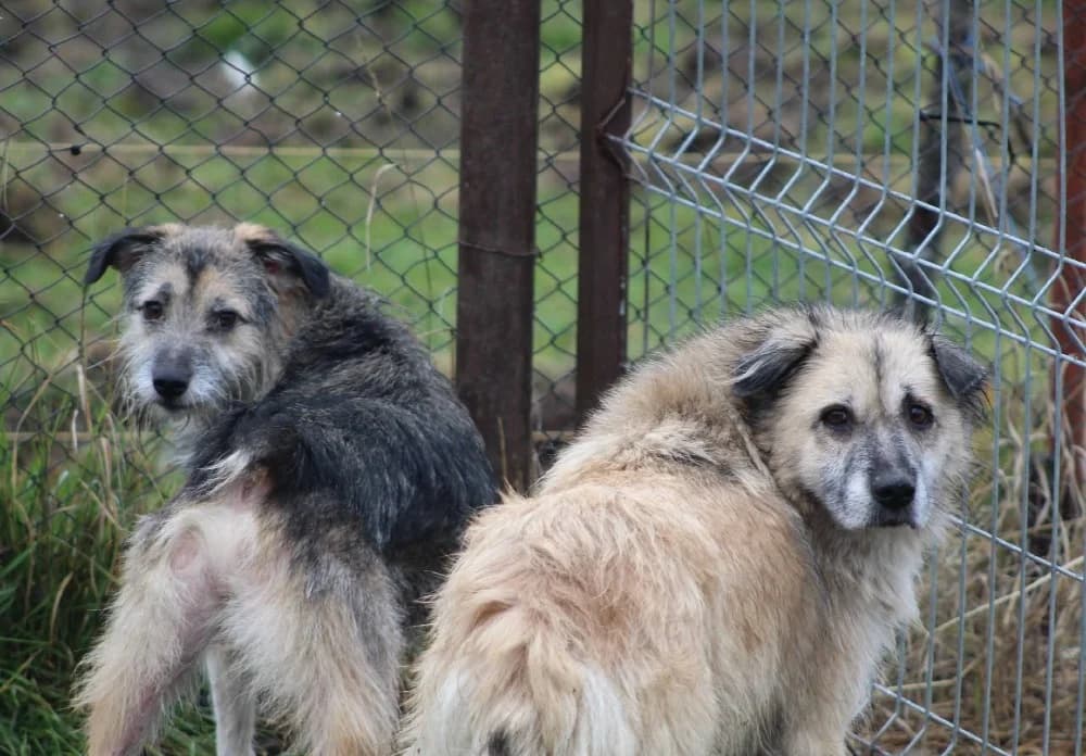 ❤️Peggy❤️ photo 8