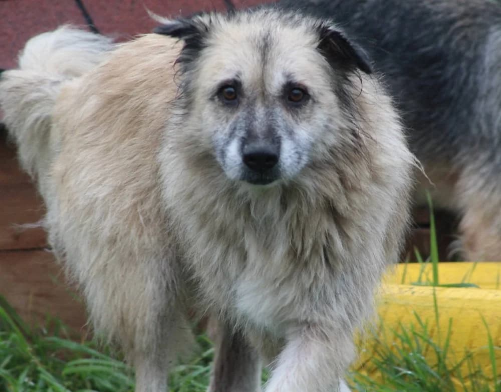 ❤️Peggy❤️ photo 2