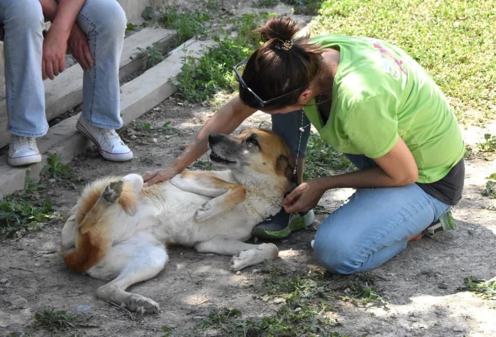 Pili RP senior photo 6