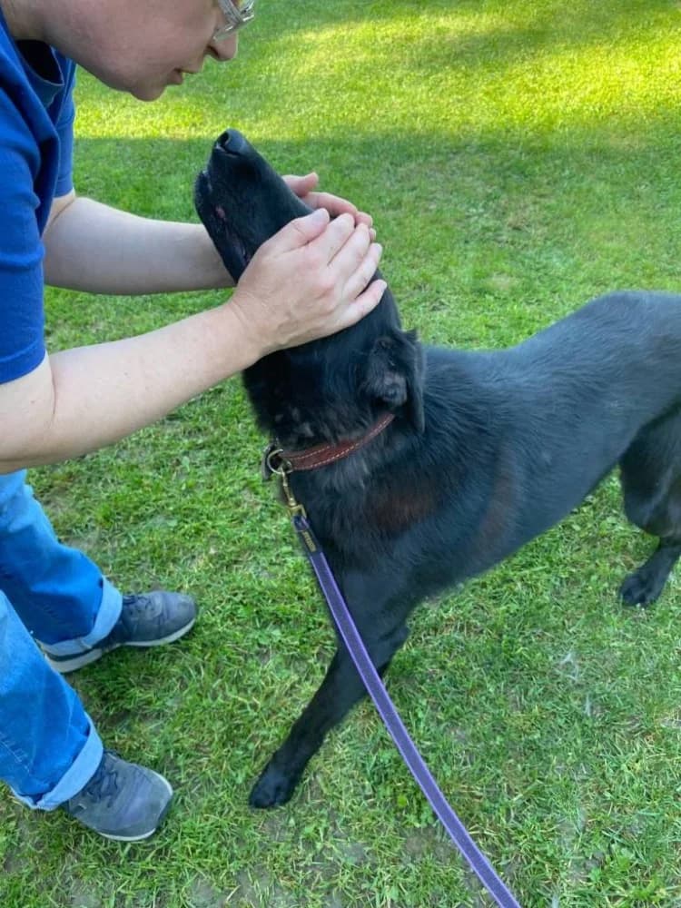 REM onze held! photo 6