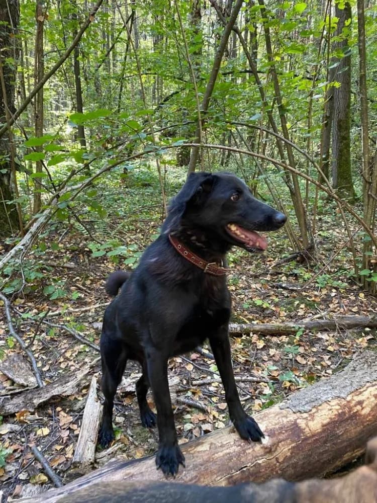 REM onze held! photo 2