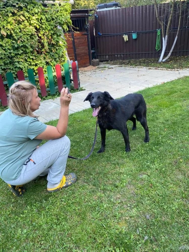 REM onze held! photo 4