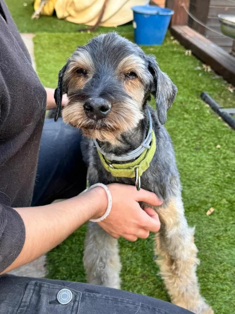 Rox BR senior photo 5