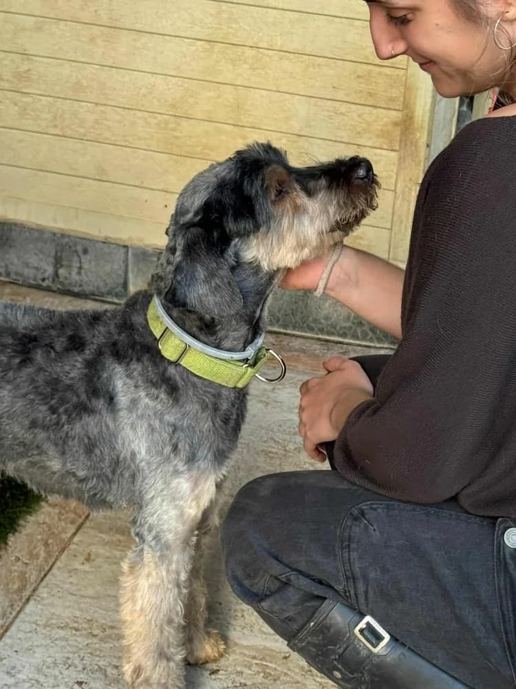 Rox BR senior photo 6