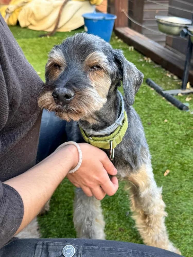 Rox BR senior photo 2