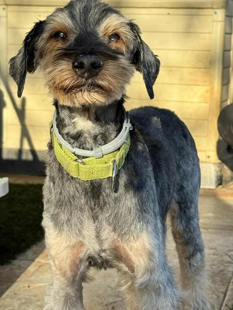 Rox BR senior photo 4