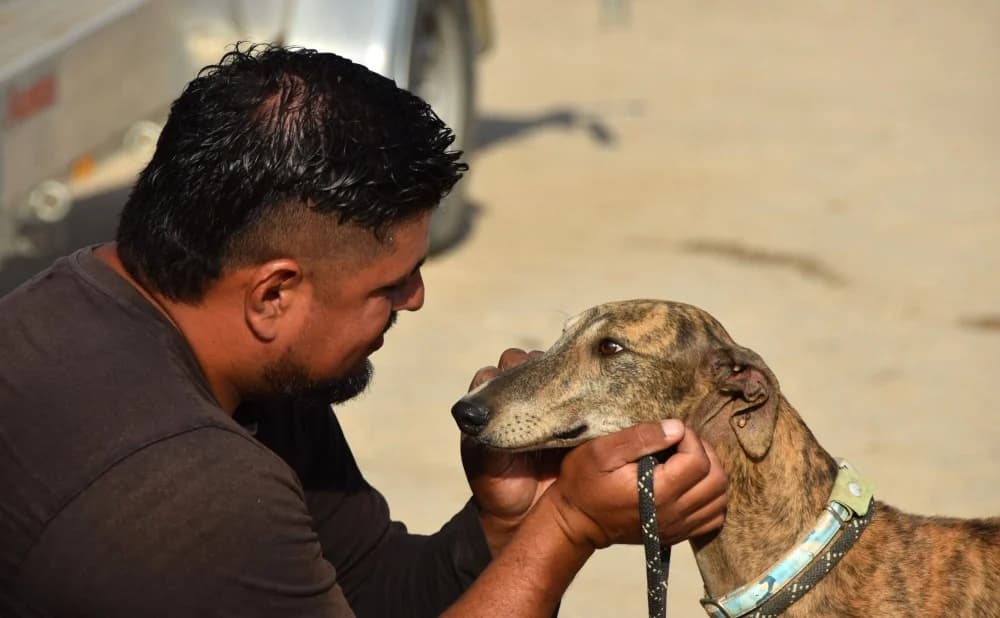 Solo de Moris DC photo 3