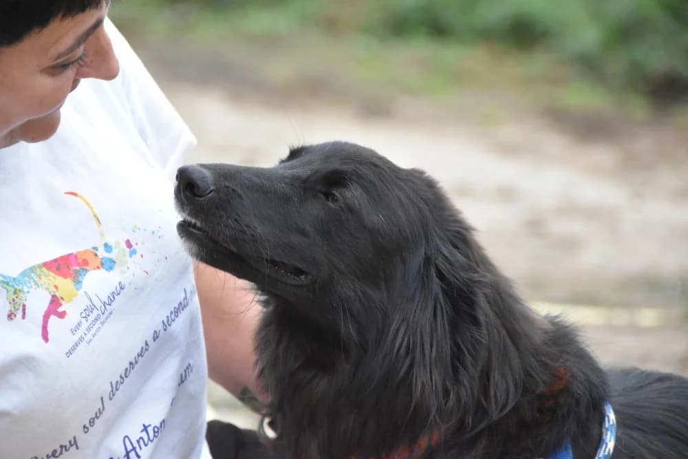 Tana BR, handicap photo 5