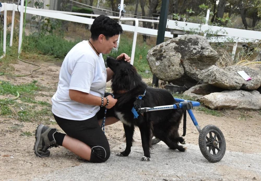 Tana BR, handicap photo 6