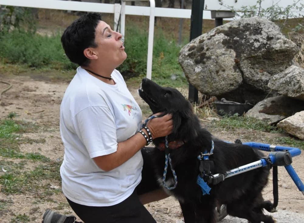 Tana BR, handicap photo 2