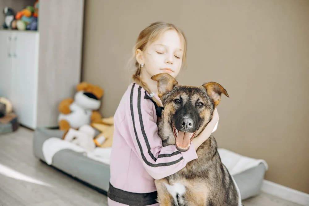 Theo echte knuffelhond photo 3