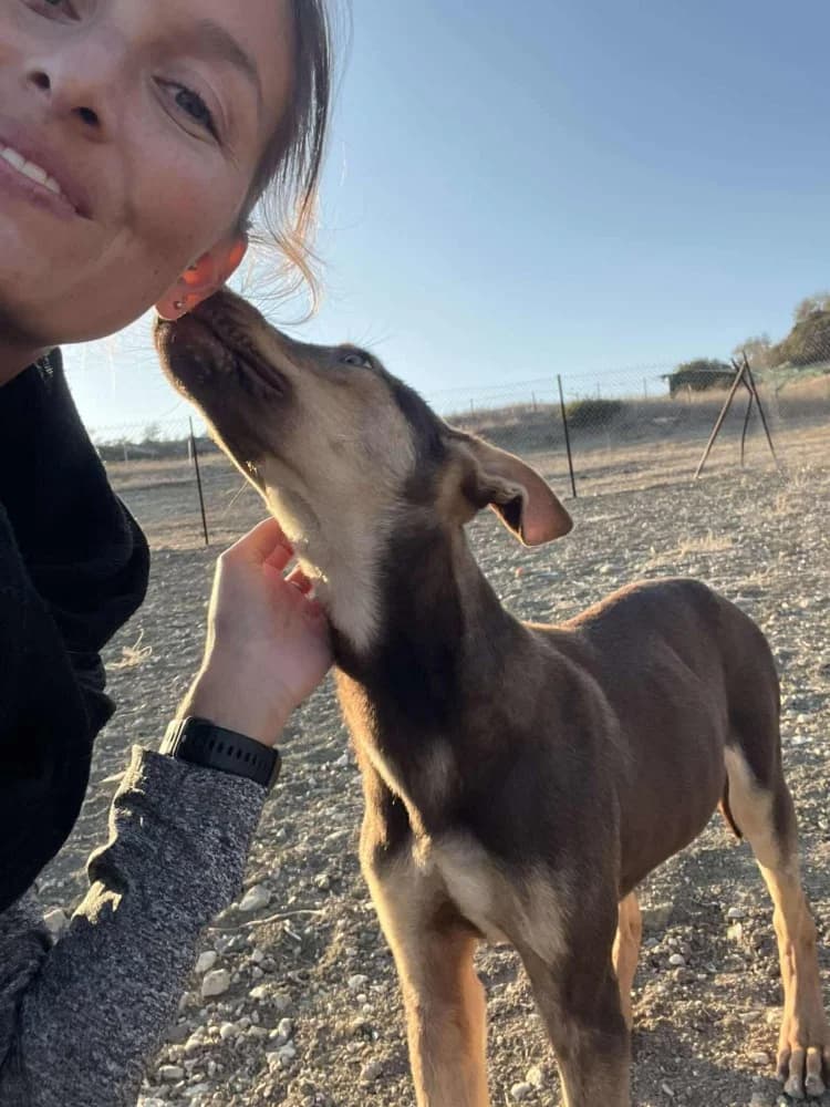 VALENTINA*kattestmogelijk photo 8