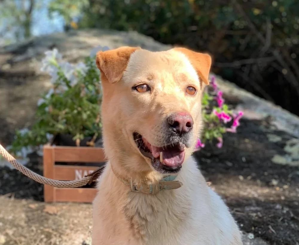 Yuna BR, handicap, senior photo 7