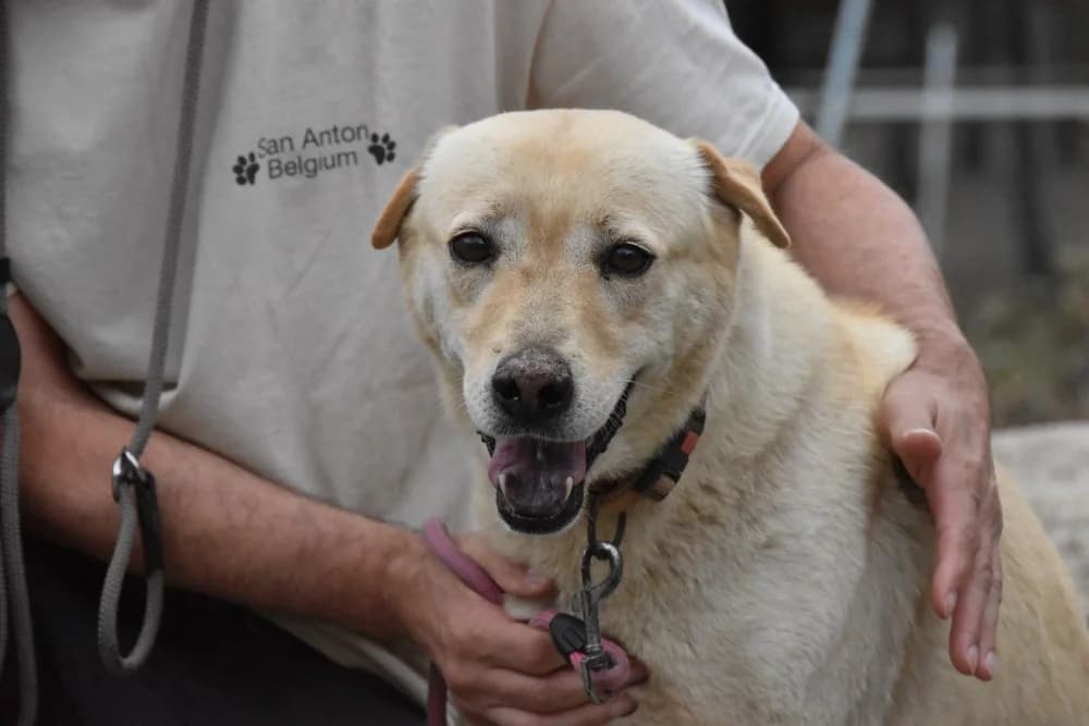 Yuna BR, handicap, senior photo 8