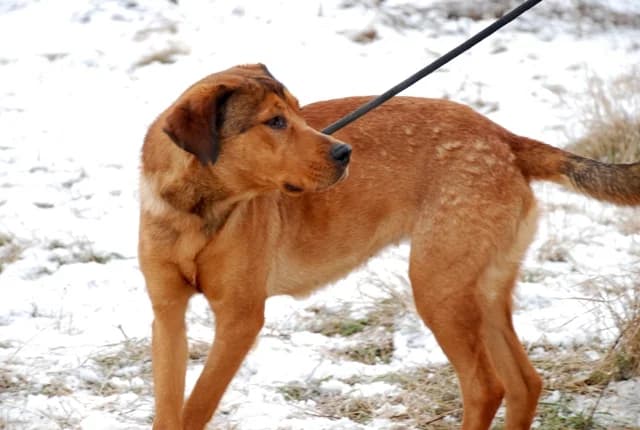 Дива и Кийра photo 2