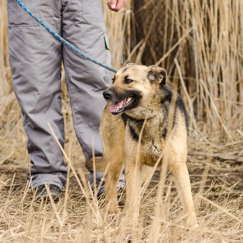 Дива и Кийра photo 5