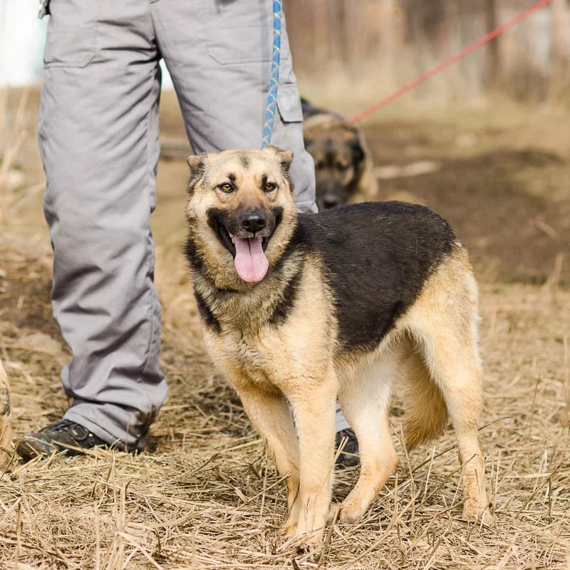 Дива и Кийра photo 6