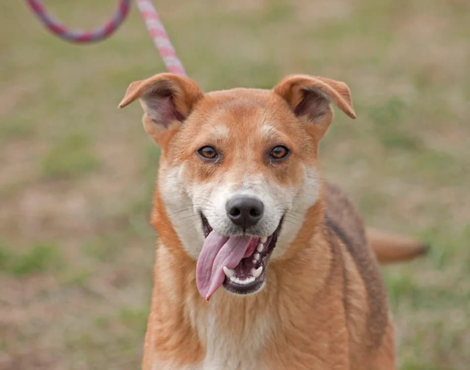 Пораснали хлапета photo 7