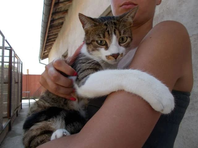 Готови да си отидат вкъщи