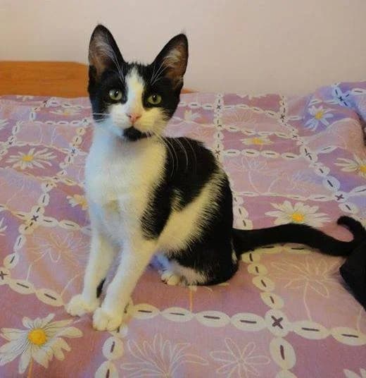 Готови да си отидат вкъщи photo 3