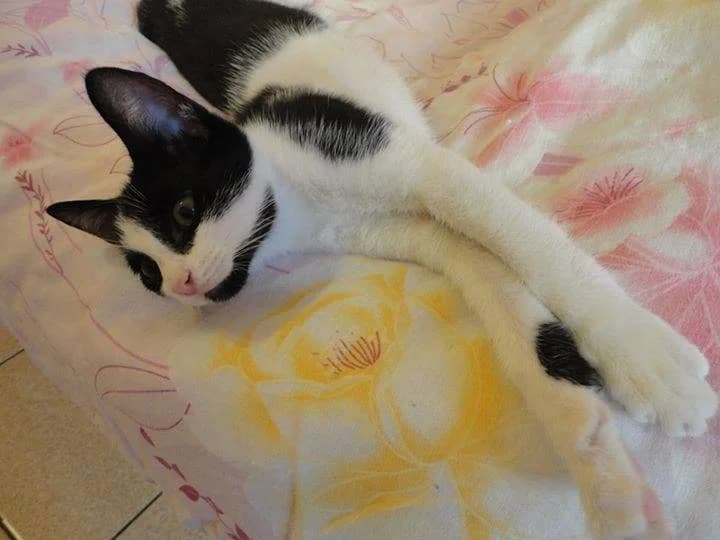 Готови да си отидат вкъщи photo 4