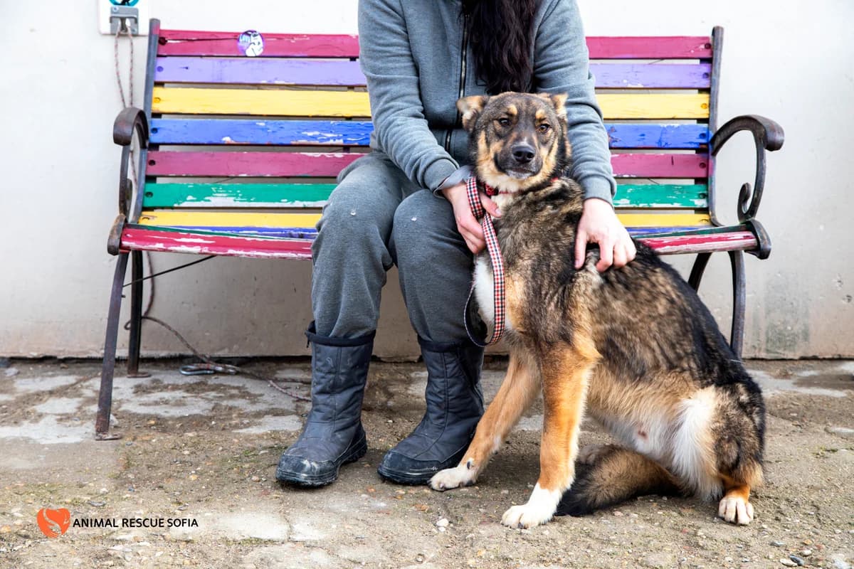 Клатетата photo 7