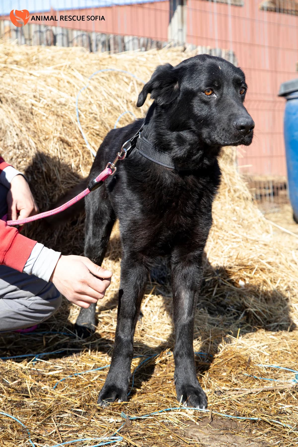 Яж, пази се и обичай photo 5