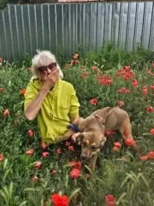 Henry, male Mixed Breed for adoption at Santerpaws Bulgarian Rescue