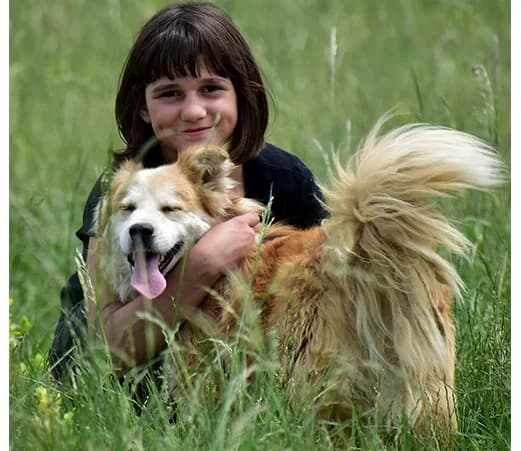 Oleg, male mixed breed for adoption at Shelter Hearts Pernik, Pernik