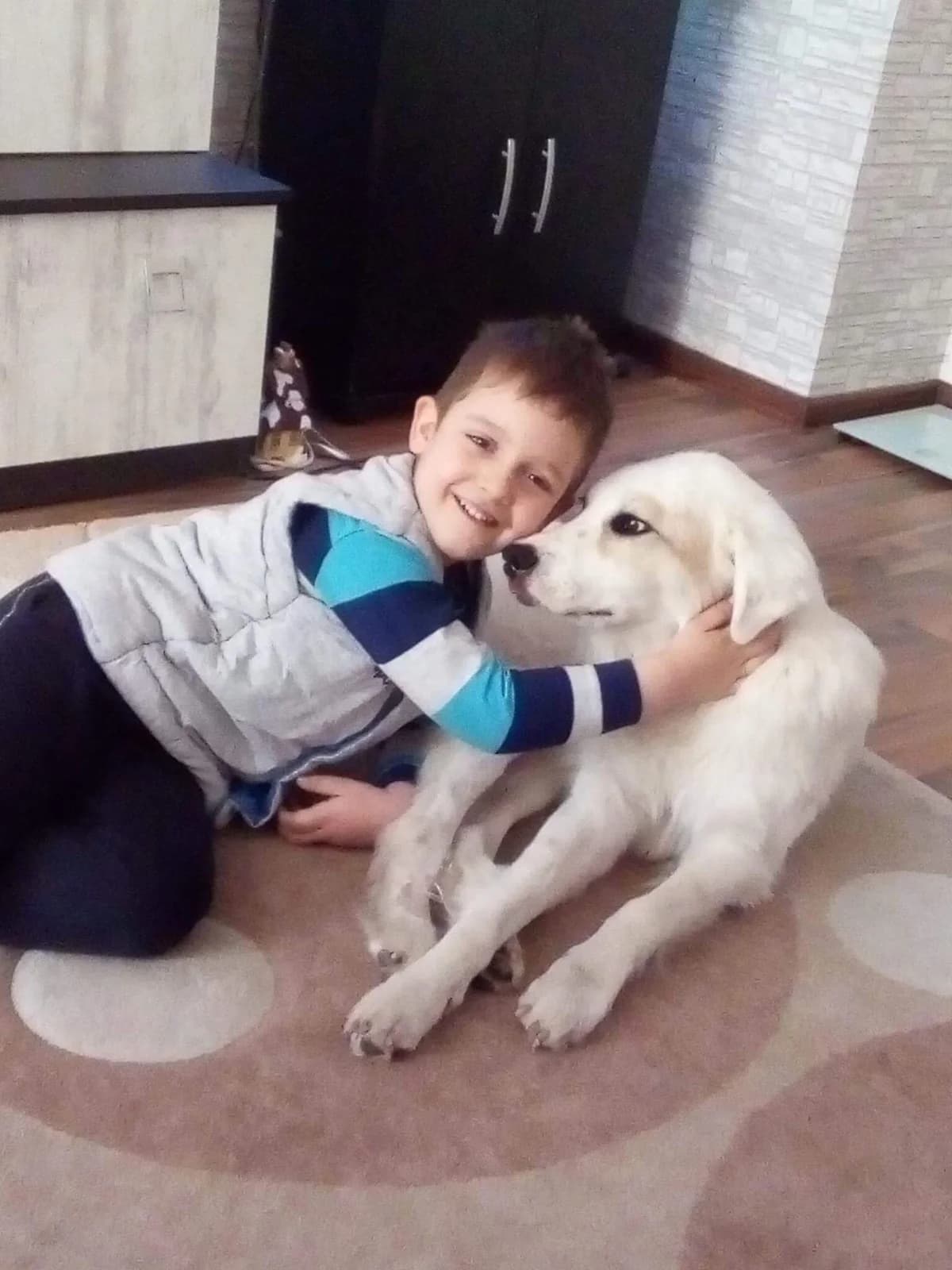 Orlando/Orlando (Орландо/Orlando), Mixed Breed for adoption at Stray Angels Bulgaria, Sofia