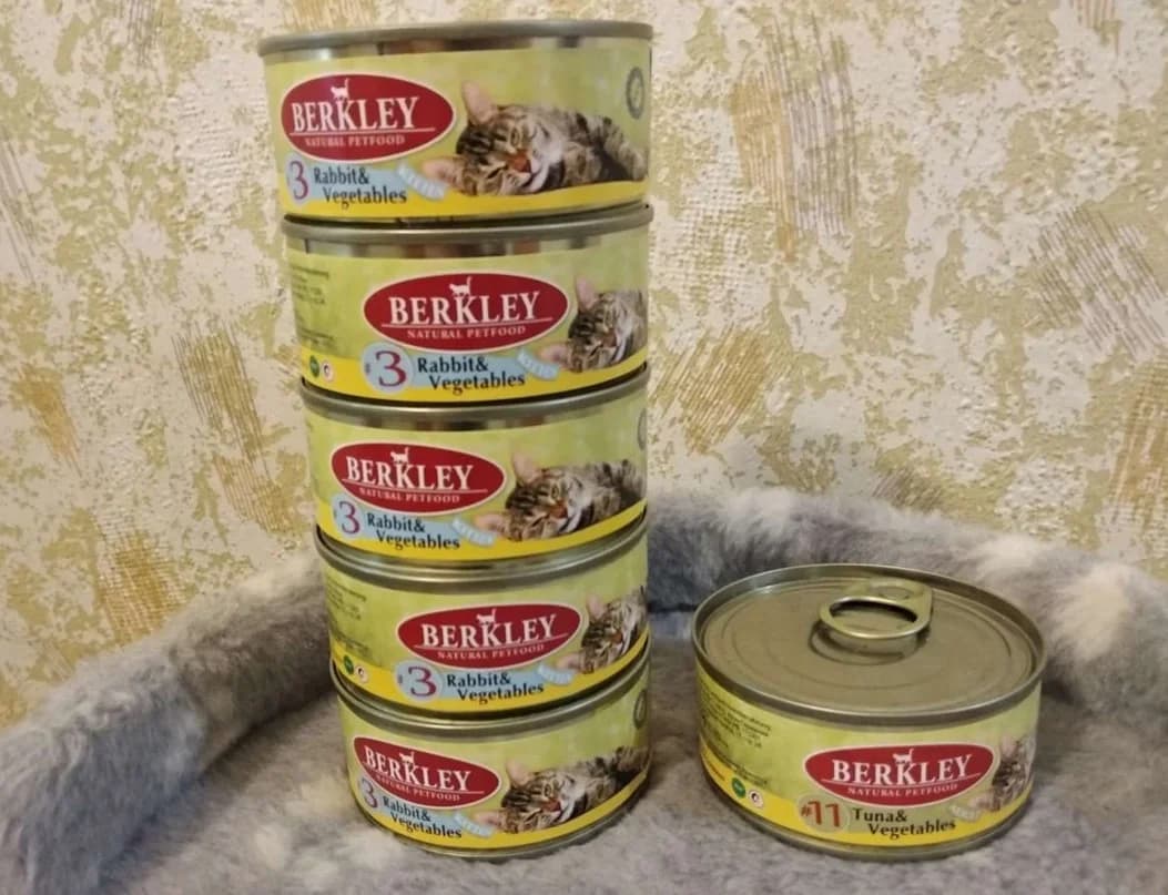 Vlazhnyy korm dlya kotyat (Влажный корм для котят), Mixed Breed (Kotyata Darom)