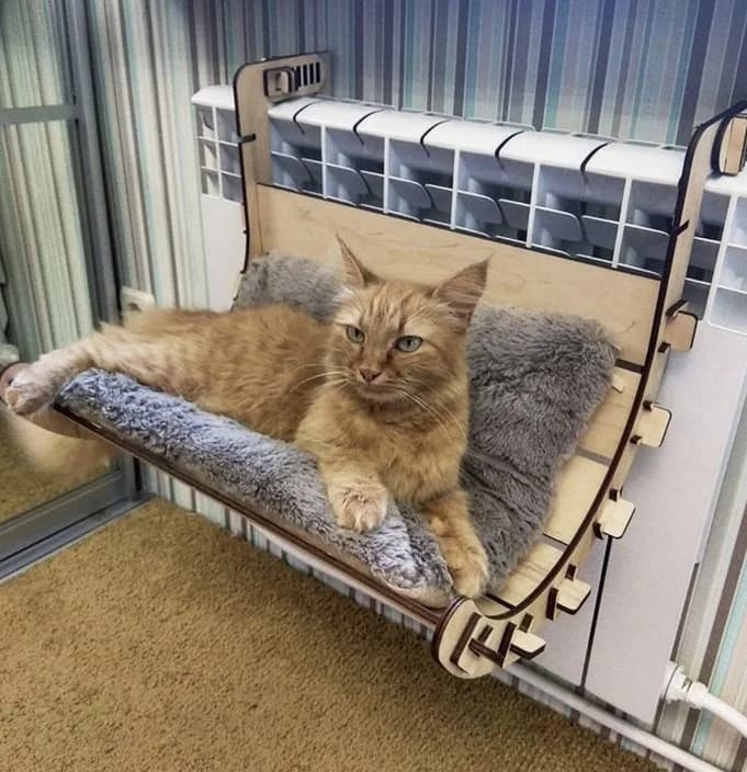 Podvesnoy gamak dlya vashego lyubimogo kota (Подвесной гамак для вашего любимого кота), Mixed Breed (Kotyata Darom)