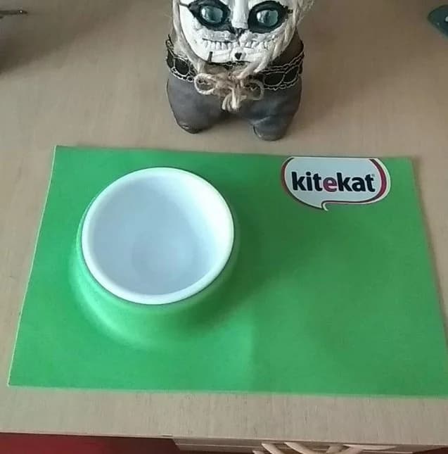 Miska dlya kota +noski (Миска для кота +носки), Mixed Breed (Kotyata Darom)