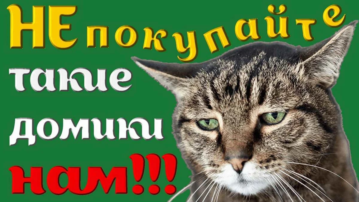 Domiki dlya koshek i vashikh pitomtsev (Домики для кошек и ваших питомцев), Mixed Breed (Kotyata Darom)