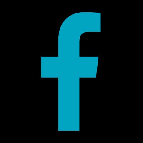 Hero — wire-haired dachshund looking for a new home photo 2