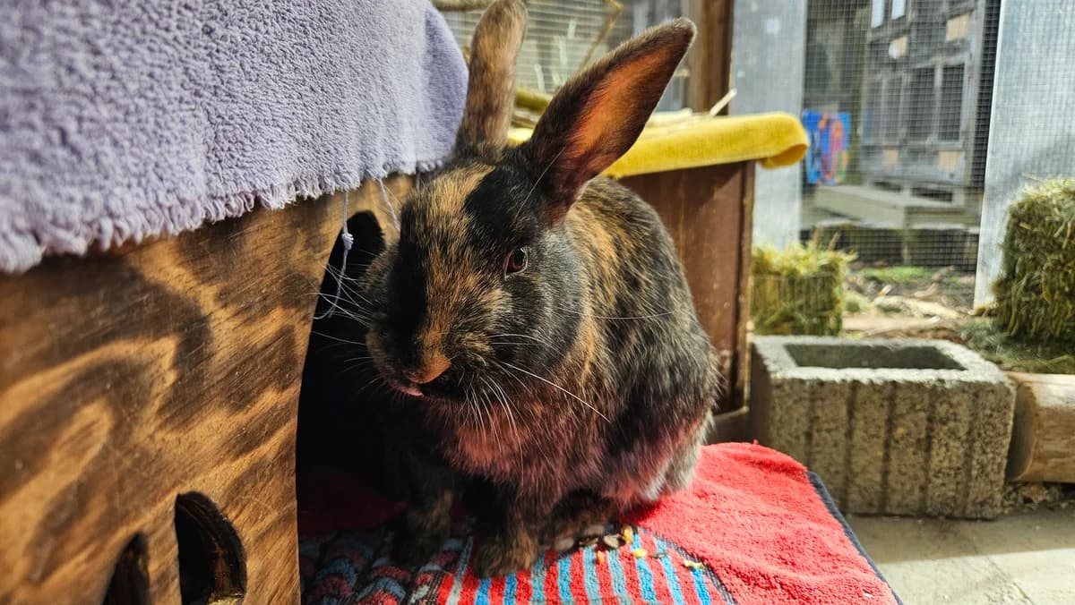 Doc und Dopey photo 4